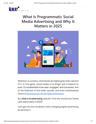 programatic-social-advertising-and-why-its-matters-in 2025
