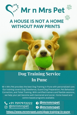 Dog Training in Pune