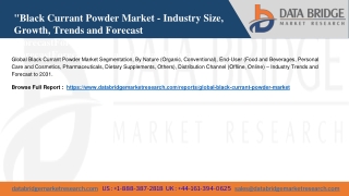 Global Black Currant Powder Market