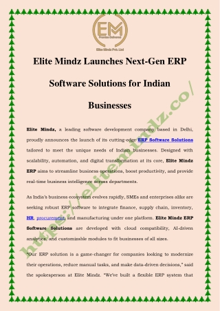 Best ERP Software System for Businesses | Elite Mindz