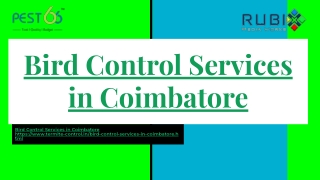 Bird Control Services in Coimbatore