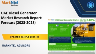 UAE Diesel Generator Market Research Report: Forecast (2025-2030)
