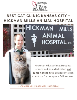 Trusted Cat Clinic Kansas City | Comprehensive Care for Cats