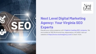 Virginia seo company