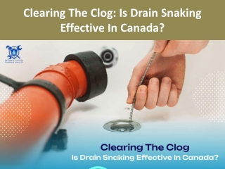 Clearing The Clog Is Drain Snaking Effective In Canada