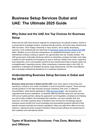 Business Setup Services Dubai and UAE