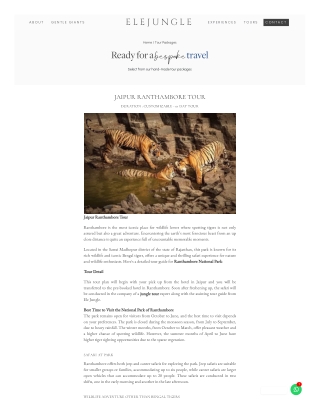 Explore Rajasthan with a Premium Jaipur Ranthambore Tour Package