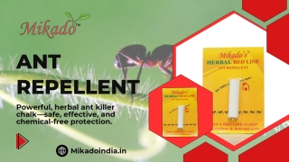 Best Ant Repellent and Chalk in India — Mikado’s Safe & Effective Ant Killer