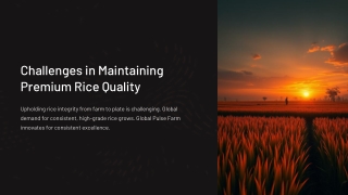 challenges in maintaining premium rice quality