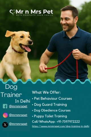 Dog Trainer in Delhi