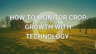 How to Monitor Crop Growth with Technology