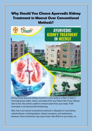 Why Should You Choose Ayurvedic Kidney Treatment in Meerut