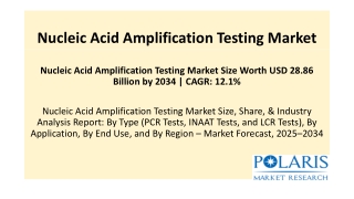 Nucleic Acid Amplification Testing Market