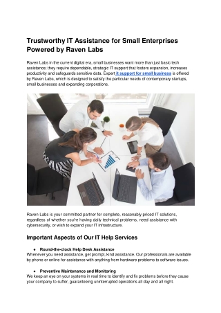 Trustworthy IT Assistance for Small Enterprises Powered by Raven Labs