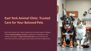 Top Vet Clinics in Toronto Providing Trusted and Affordable Pet Healthcare Servi