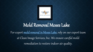 Mold Removal Moses Lake