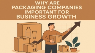 Why Are Packaging Companies Important for Business Growth
