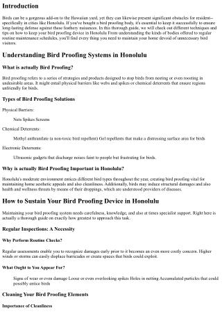 How to Maintain Your Bird Proofing System in Honolulu