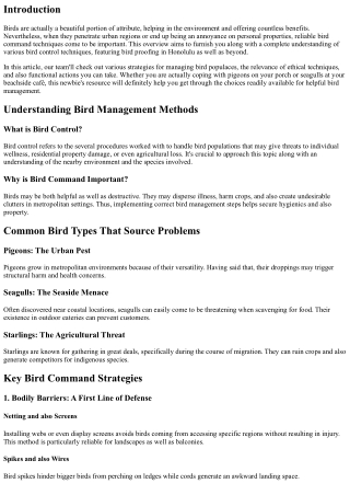A Beginner's Guide to Understanding Bird Control Methods