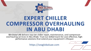 expert chiller compressor overhauling