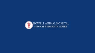 Expert Veterinary Care at Howell Animal Hospital in Monmouth County, NJ
