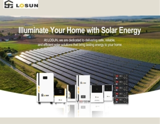High-Performance Lithium Battery 48V | Losun Smart Technology