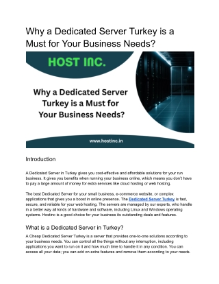 Why Dedicated Server Turkey Might be Exactly What Your Business Needs