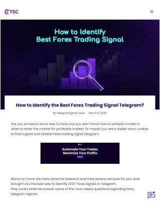 How to Identify Forex Trading Signal Telegram PDF
