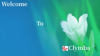 Search Engine Optimization Consultant- Clymba