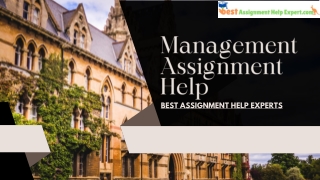 Professional Management Assignment Assistance by Global Experts