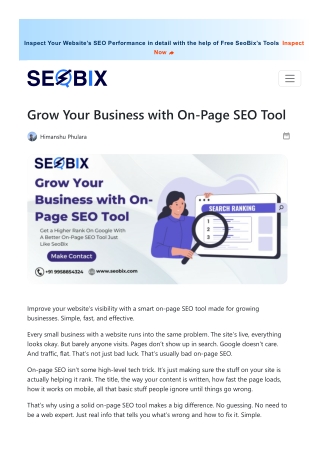 Want More Traffic? Try an On-Page SEO Tool