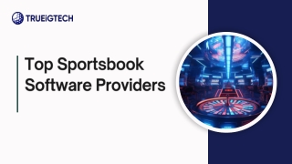 Top Sportsbook Software Providers in 2025