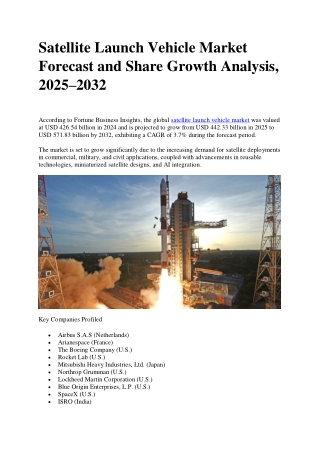 Satellite Launch Vehicle Market