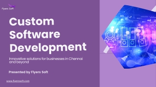 custom software development