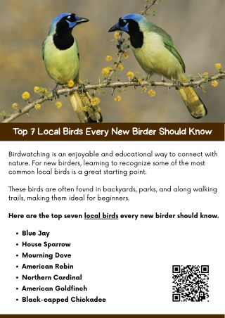 Top 7 Local Birds Every New Birder Should Know
