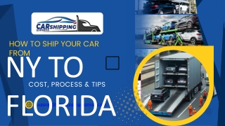 support@carshippingexpress com