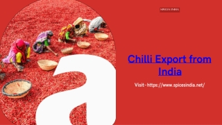 Chilli Export from India
