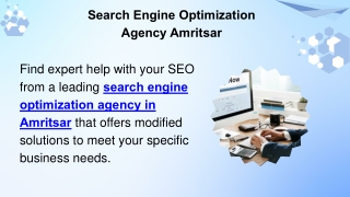 Search Engine Optimization Agency Amritsar