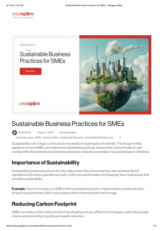 Sustainable Business 101: A Guide for Growing SMEs