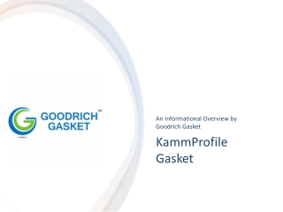 KammProfile Gasket