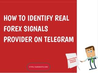 How to Identify Real Forex Signals Provider on Telegram