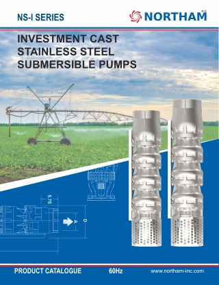Investment Cast Stainless Steel Submersible Pumps