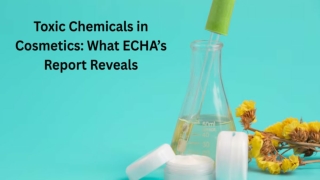 Toxic Chemicals in Cosmetics_ What ECHA’s Report Reveals