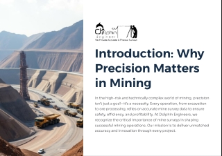 introduction why precision matters in mining