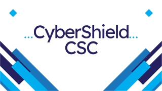 Comprehensive Cybersecurity with CyberShield's vCISO Services