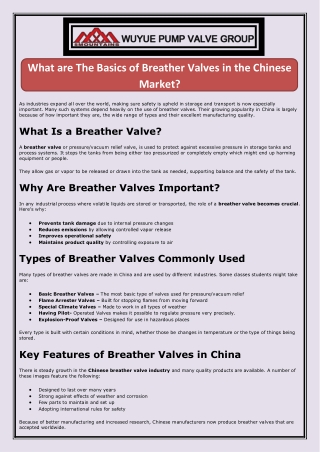 What are The Basics of Breather Valves in the Chinese Market (1)