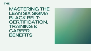 Mastering the Lean Six Sigma Black Belt: Certification