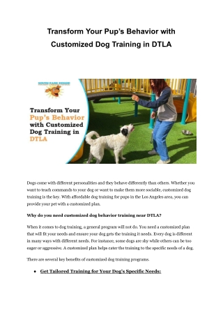 Transform Your Pup’s Behavior with Custom Dog Training DTLA