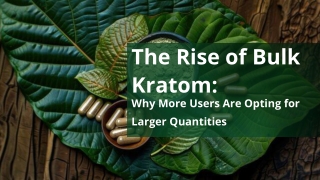 The Rise of Bulk Kratom_ Why More Users Are Opting for Larger Quantities