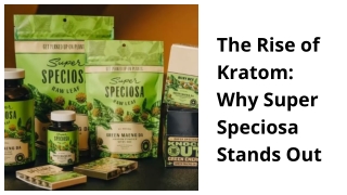 The Rise of Bulk Kratom_ Why More Users Are Opting for Larger Quantities.